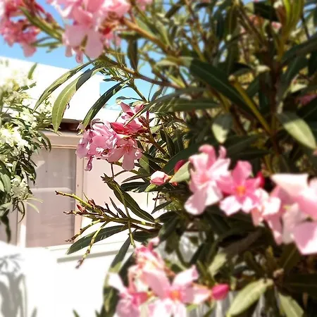 Διαμέρισμα Little Loft Playablanca